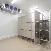 Chambre de refroidissement congelée professionnelle pour la nourriture